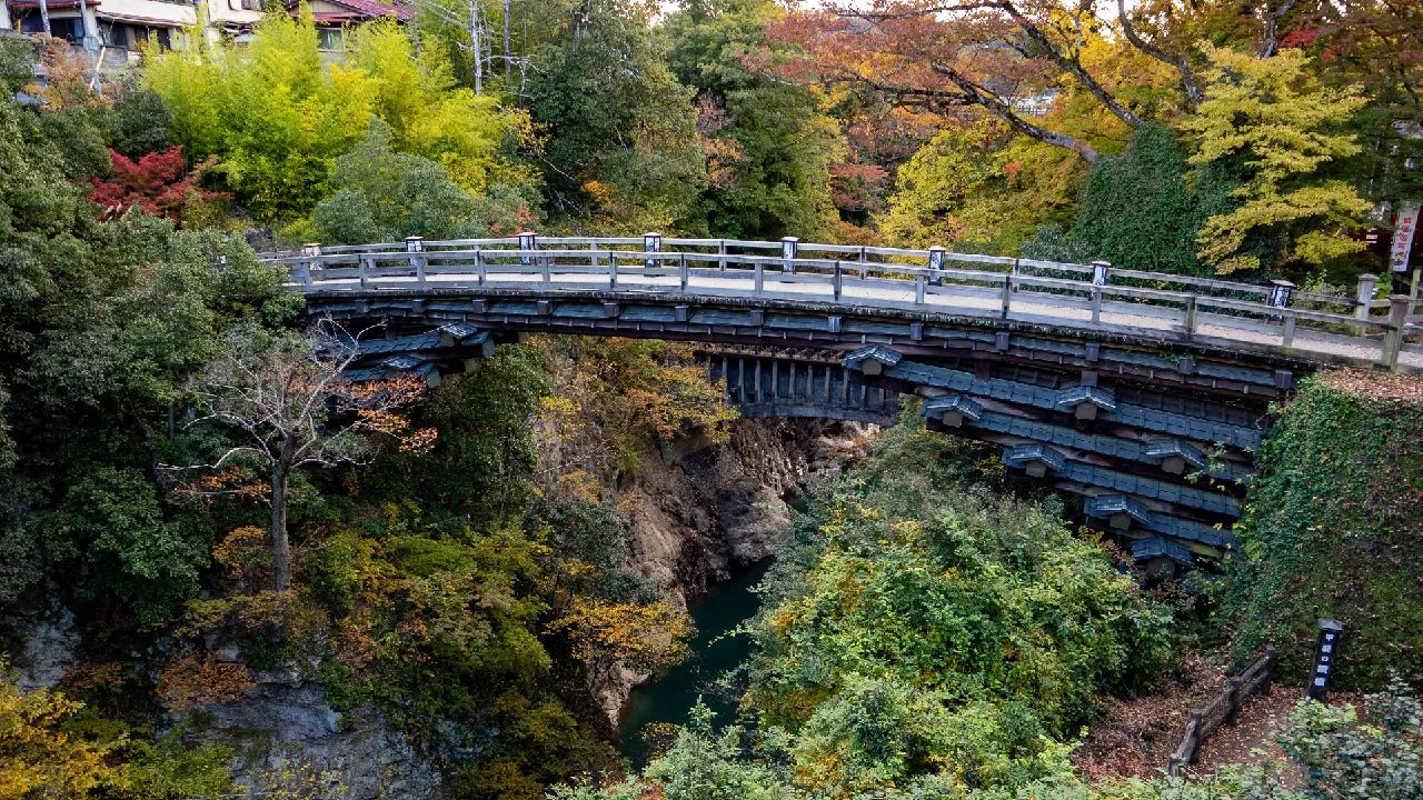 🌉 원숭이 다리(사루하시) 이미지 10